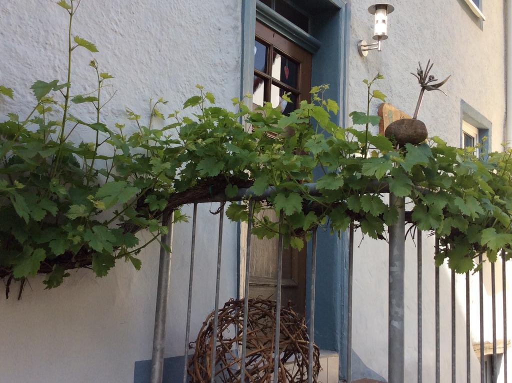 Winzerhaeuschen, Weingut Th. Mueller Apartment Райл Екстериор снимка